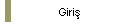 Giriş