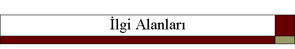 lgi Alanlar