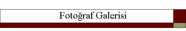 Fotoraf Galerisi
